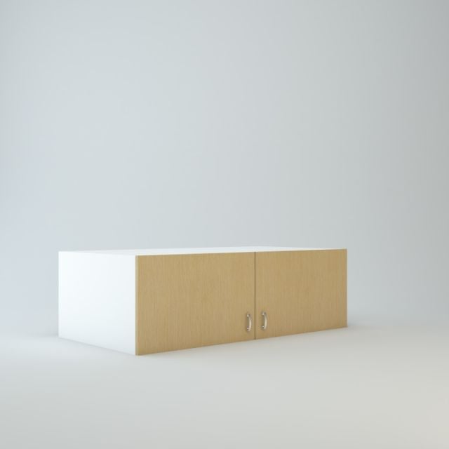 Wall Refrigerator Cabinet 15 inch High 24 inch Deep 48 inch Wide For Two Doors