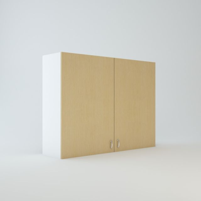 Wall Blind Corner Cabinet 24 inch High 39 inch Wide For One Door