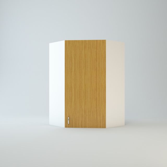 Wall Diagonal Corner Cabinet 39 inch High 24 inch Wide For One Door