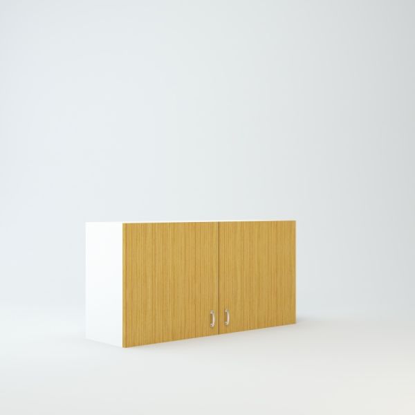 Wall Cabinet 21 inch High 42 inch Wide For Two Doors