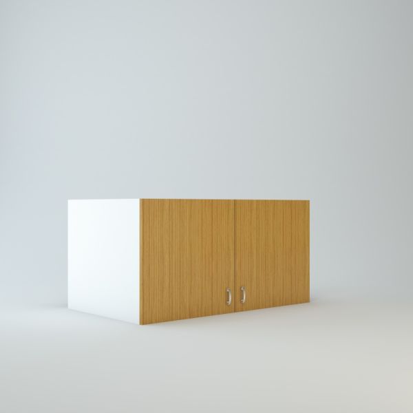 Wall Refrigerator Cabinet 21 inch High 24 inch Deep 42 inch Wide For Two Doors