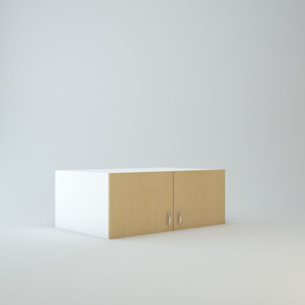 Wall Refrigerator Cabinet 15 inch High 24 inch Deep 39 inch Wide For Two Doors