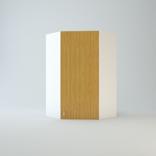 Wall Diagonal Corner Cabinet 42 inch High 24 inch Wide For One Door