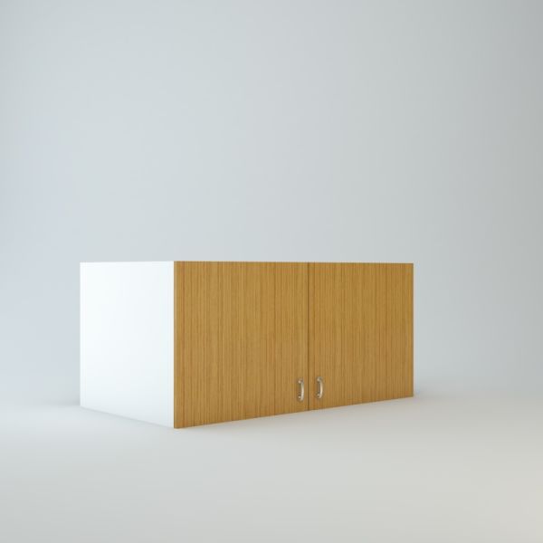 Wall Refrigerator Cabinet 21 inch High 24 inch Deep 45 inch Wide For Two Doors