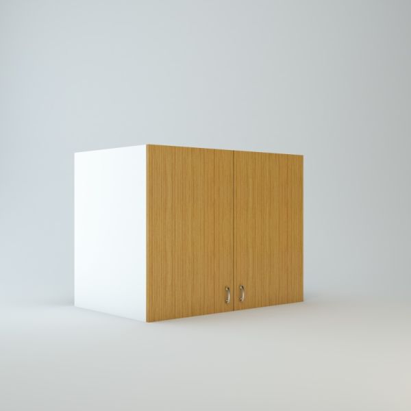 Wall Refrigerator cabinet 30 inch High 24 inch Deep 39 inch Wide For Two Doors