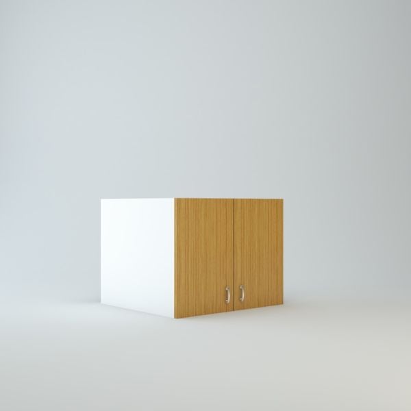 Wall Refrigerator Cabinet 15 inch High 24 inch Deep 42 inch Wide For Two Doors