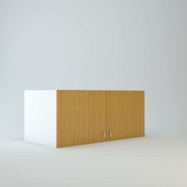 Wall Refrigerator Cabinet 21 inch High 24 inch Deep 48 inch Wide For Two Doors