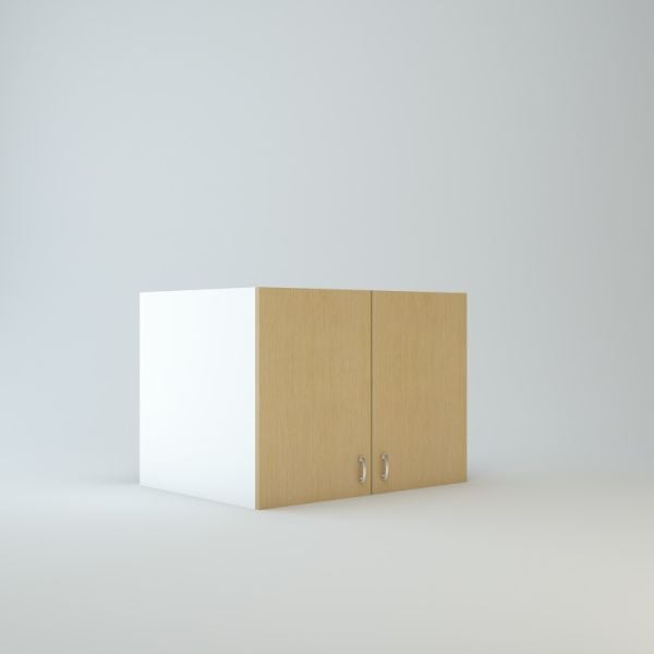 Wall Refrigerator Cabinet 18 inch High 24 inch Deep 48 inch Wide For Two Doors