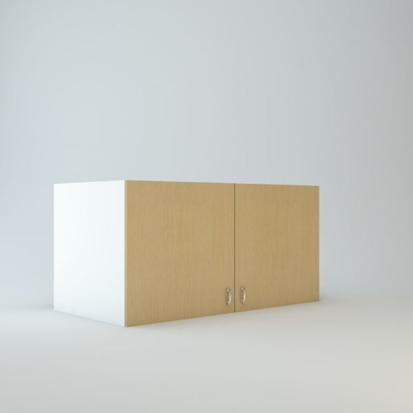 Wall Refrigerator cabinet 24 inch High 24 inch Deep 48 inch Wide For Two Doors