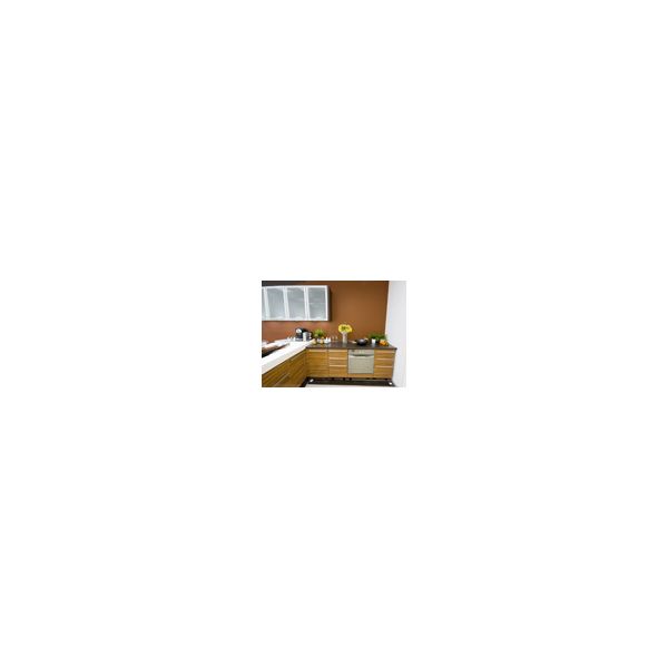 Modern kitchen - Zebrawood