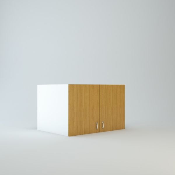 Wall Refrigerator Cabinet 15 inch High 24 inch Deep 48 inch Wide For Two Doors