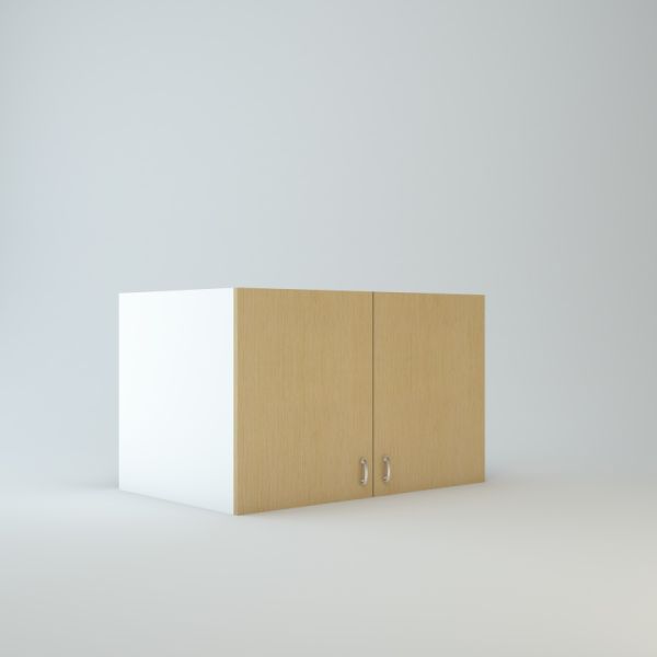 Wall Refrigerator cabinet 24 inch High 24 inch Deep 39 inch Wide For Two Doors