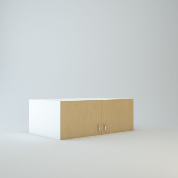 Wall Refrigerator Cabinet 15 inch High 24 inch Deep 42 inch Wide For Two Doors