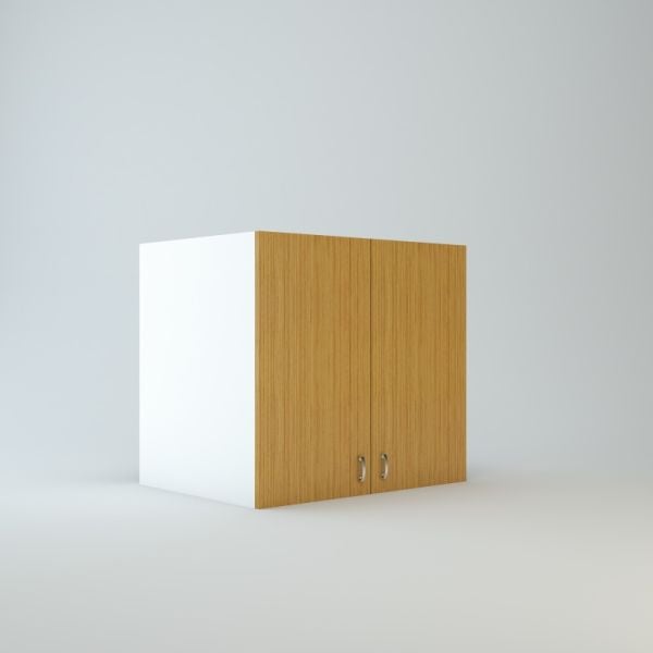 Wall Refrigerator cabinet 24 inch High 24 inch Deep 48 inch Wide For Two Doors