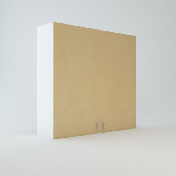 Wall Cabinet 45 inch High 48 inch Wide For Two Doors