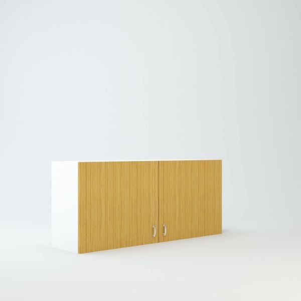 Wall Cabinet 21 inch High 48 inch Wide For Two Doors