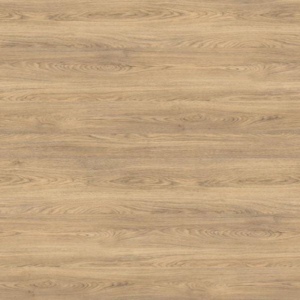 Close up of Light Natural Rovato Oak textured laminate wall panel with knots and natural grain variation