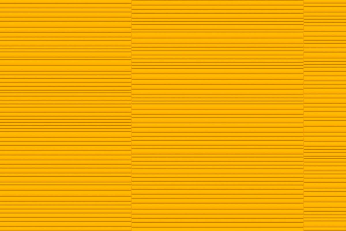FUJI in RAL 1003 - Signal Yellow